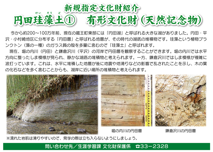 ジオパーク通信