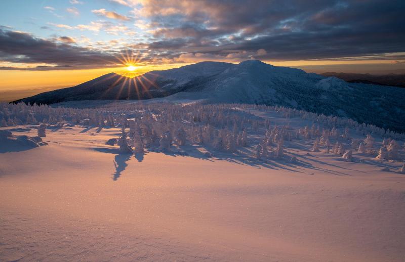 樹氷原と朝日の美しい画像