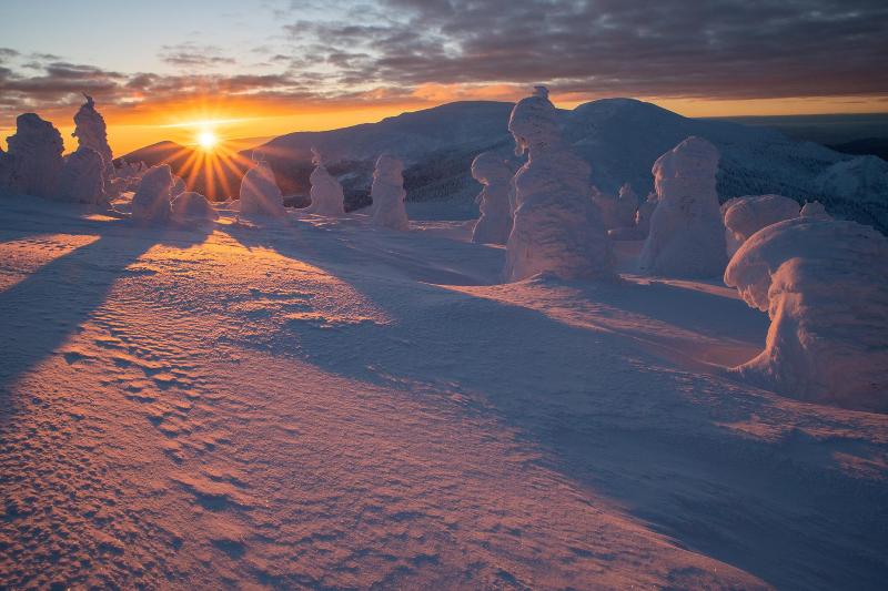 自然の芸術作品樹氷と朝日の画像